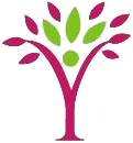 School of Yoga Vidhya Logo